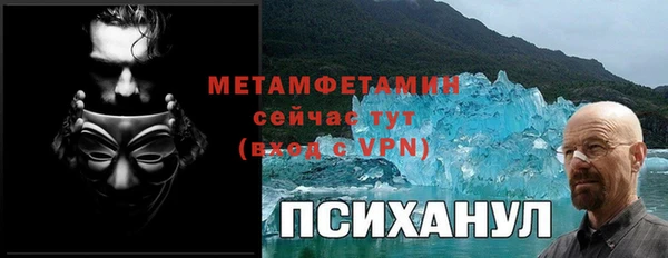 дживик Богородск
