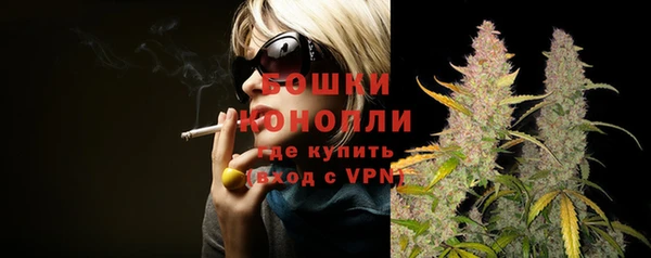 дживик Богородск