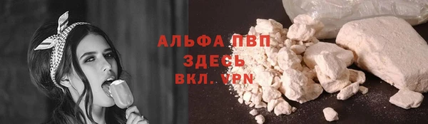 спиды Богородицк