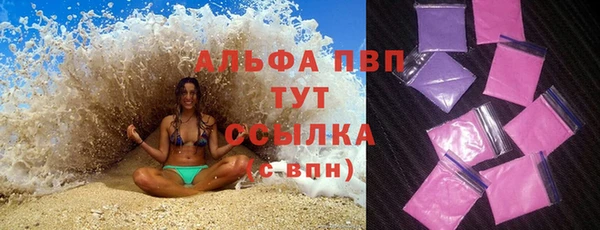 спиды Богородицк
