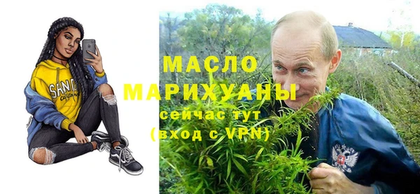 спиды Богородицк