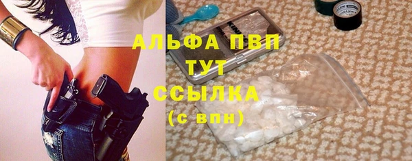 спиды Богородицк