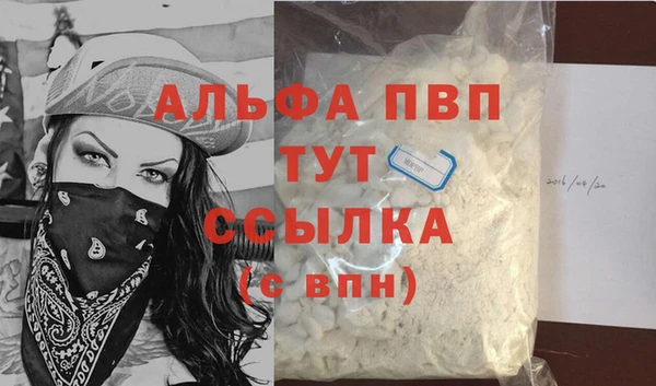 спиды Богородицк