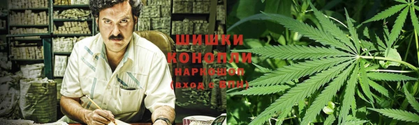 спиды Богородицк