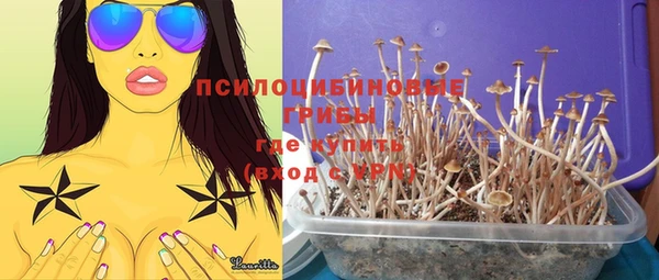 спиды Богородицк