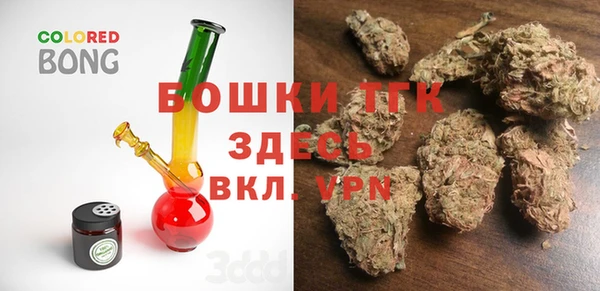 дживик Богородск
