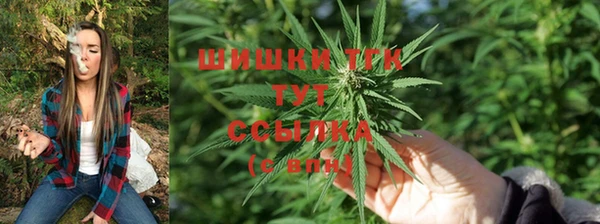 спиды Богородицк