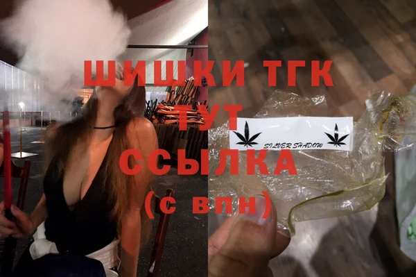 дживик Богородск