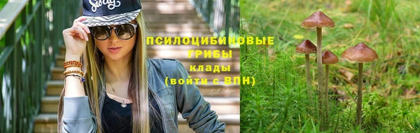 спиды Богородицк