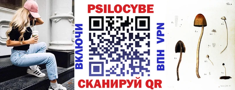 Псилоцибиновые грибы GOLDEN TEACHER  Костерёво 